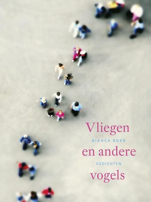 Foto van Vliegen en andere vogels - bianca boer - ebook (9789020410723)