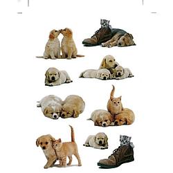 Foto van 27x honden/puppy stickers met katten/poezen -dieren kinderstickers - stickervellen - knutselspullen