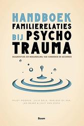 Foto van Handboek familierelaties bij psychotrauma - jan baars - paperback (9789024436927)