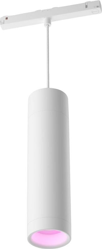 Foto van Philips hue perifo hanglamp - white and color - wit - uitbreiding