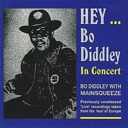 Foto van Hey..bo diddley - cd (0752211102324)