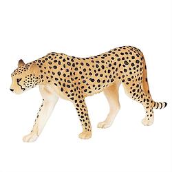 Foto van Mojo wildlife speelgoed cheetah mannetje - 387197