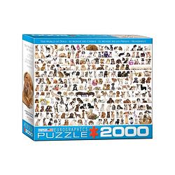 Foto van Eurographics puzzel world of dogs - 2000 stukjes