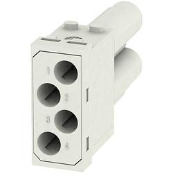 Foto van Rockstar® modu plug, frame hdc mf 10b ac weidmüller inhoud: 1 stuk(s)