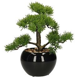Foto van Atmosphera bonsai in keramische pot 36 cm - kunstplanten