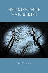 Foto van Het mysterie van 16 juni - gert veltkamp - ebook (9789402195286)