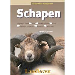 Foto van Schapen - praktijkreeks hobbydieren