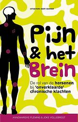 Foto van Pijn & het brein - annemarieke fleming, joke vollebregt - ebook (9789035144286)