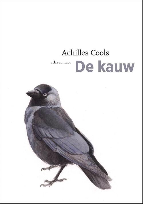 Foto van De kauw - achilles cools - ebook (9789045026527)