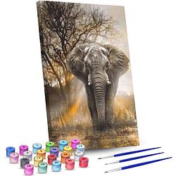 Foto van Rubye® schilderen op nummer volwassenen - olifant - met canvas schildersdoek en penselen - 40x50cm