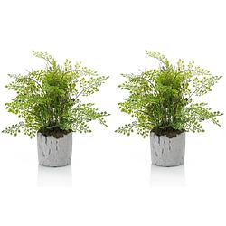 Foto van Set van 2x stuks groene kunstplanten varen 30 cm - kunstplanten