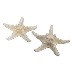 Foto van 12x stuks decoratie zeesterren - naturel wit - 10-15 cm - hobbydecoratieobject