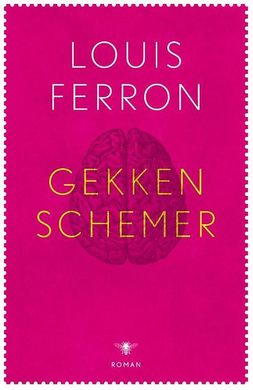 Foto van Gekkenschemer - louis ferron - ebook (9789023492597)