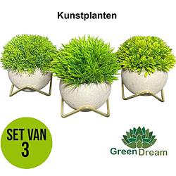 Foto van Greendream® kunstplanten - kunstplanten voor binnen - 15x12 cm -set van 3 stuks - vetplanten - decoratie