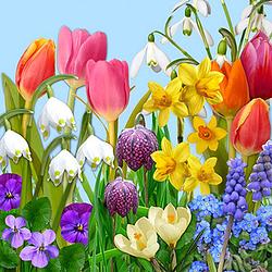 Foto van 60x servetten pasen - lente bloemen - papier - 33 x 33 cm - feestservetten