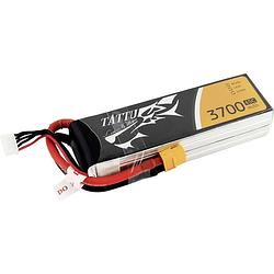 Foto van Tattu lipo accupack 14.8 v 3700 mah aantal cellen: 4 45 c softcase xt60