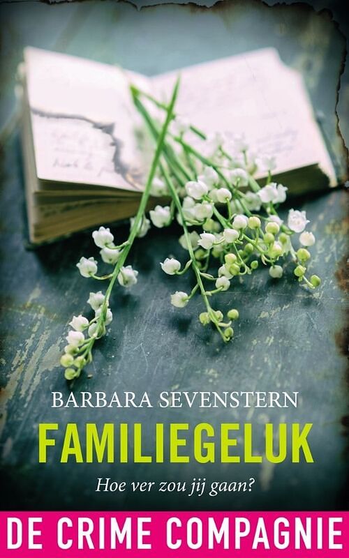 Foto van Familiegeluk - barbara sevenstern - ebook (9789461094179)