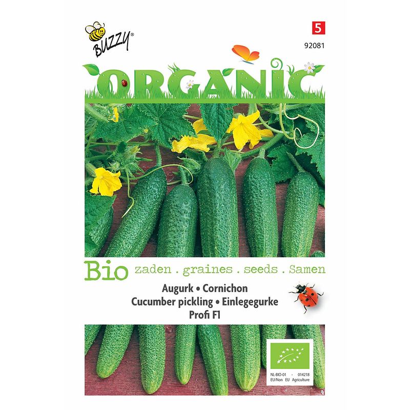 Foto van 5 stuks organic augurk profi f1 (skal 14725) tuinplus