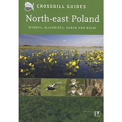 Foto van North-east poland - crossbill guides