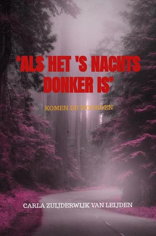 Foto van 'als het 's nachts donker is' - carla zuijderwijk van leijden - ebook (9789403674117)