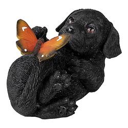 Foto van Clayre & eef decoratie beeld 14*9*10 cm zwart kunststof hond