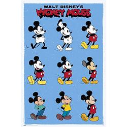 Foto van Grupo erik disney mickey mouse evol poster 61x91,5cm