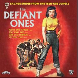 Foto van Savage songs from a teenage jungle - lp (2090405495677)