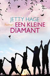 Foto van Een kleine diamant - jetty hage - ebook (9789020537451)