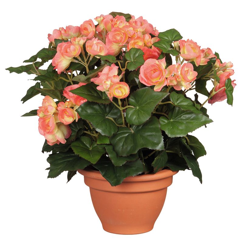 Foto van Zalmroze begonia kunstplant 37 cm in terracotta pot - kunstplanten