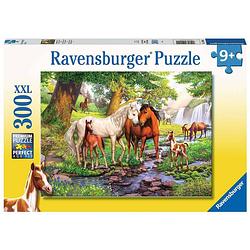 Foto van Ravensburger puzzel wilde paarden 300pcs