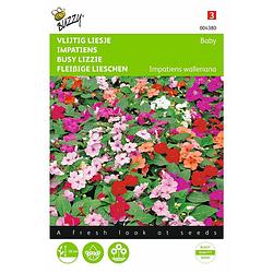 Foto van 2 stuks impatiens walleriana baby gemengd