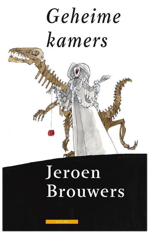 Foto van Geheime kamers - jeroen brouwers - ebook (9789045015354)