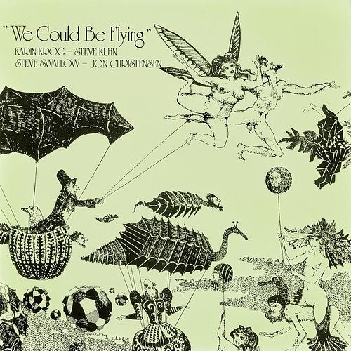 Foto van We could be flying - cd (7051070000134)