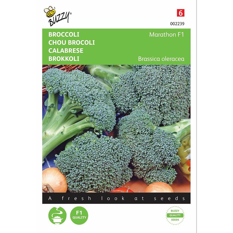 Foto van 2 stuks broccoli southern comet f1