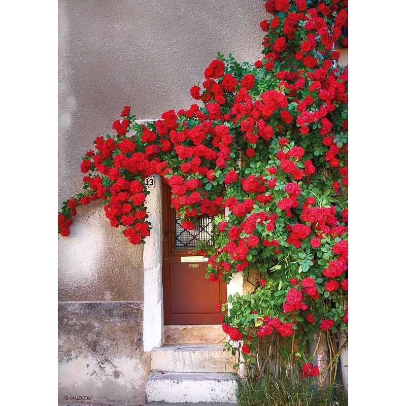 Foto van 2 stuks tuinschilderij door with red flowers 50x70cm