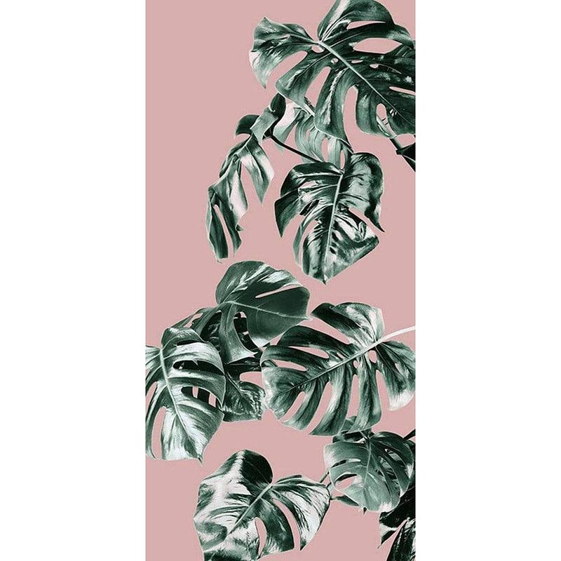 Foto van Komar monstera rosé groen vlies fotobehang 100x250cm 1-baan