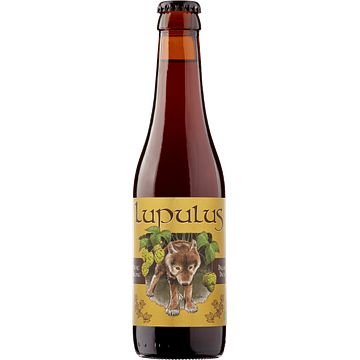 Foto van Lupulus bruin bier fles 330ml bij jumbo