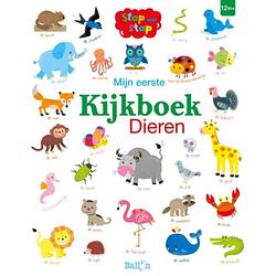 Foto van Mijn eerste kijkboek dieren - stap voor stap