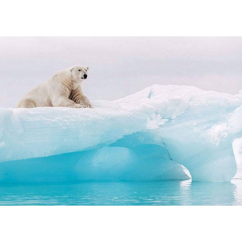 Foto van Komar arctic polar bear vlies fotobehang 400x280cm 8-banen