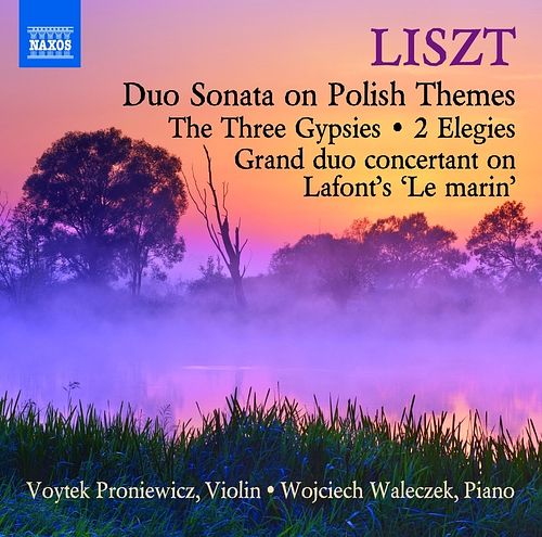 Foto van Duo sonata on polish themes - cd (0747313314577)