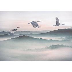 Foto van Komar mystic cranes vlies fotobehang 400x280cm 8-banen