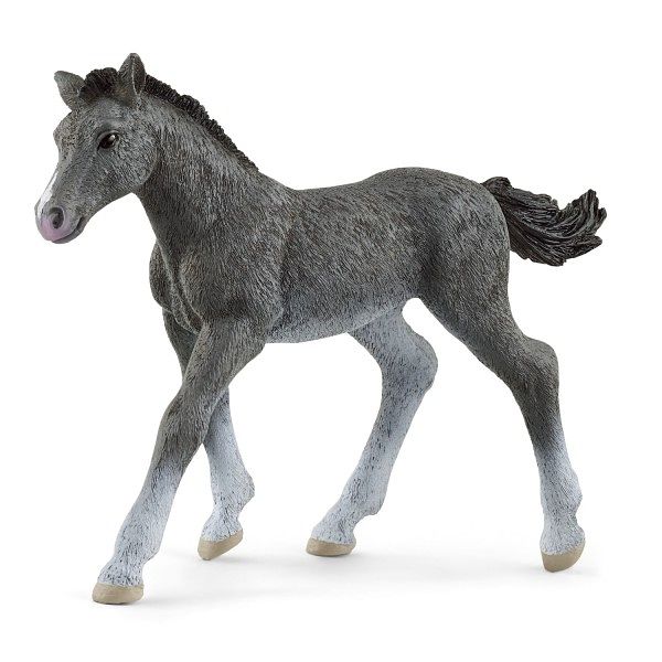 Foto van 13944 schleich trakehner veulen