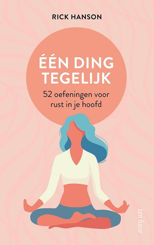 Foto van Eén ding tegelijk - rick hanson - ebook (9789025908737)