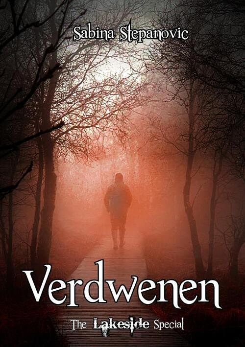 Foto van Verdwenen - the lakeside special - sabina stepanovic - paperback (9789464655124)