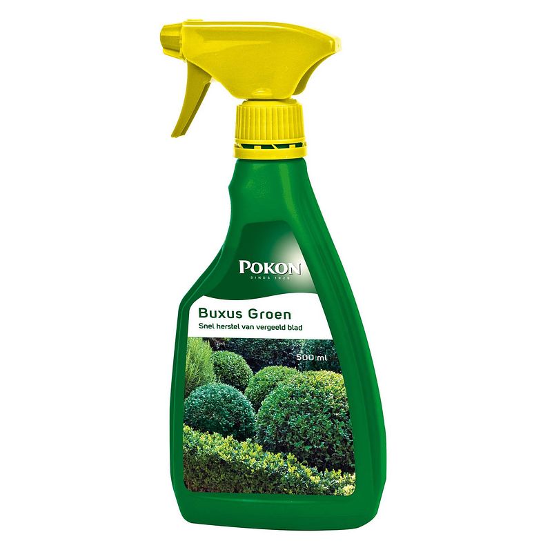 Foto van 2 stuks buxus groen 500ml