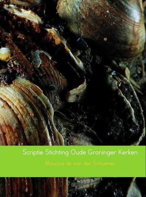 Foto van Scriptie stichting oude groninger kerken - maurice de van der schueren - ebook (9789402149241)