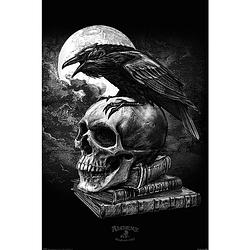 Foto van Pyramid alchemy poes raven poster 61x91,5cm