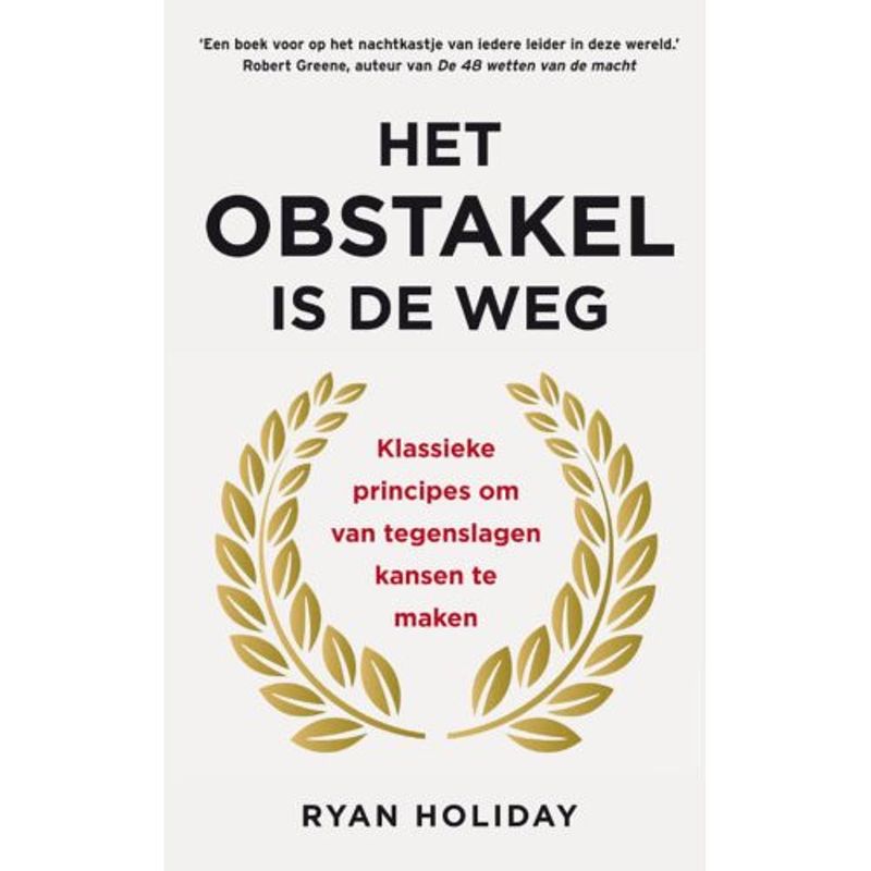 Foto van Het obstakel is de weg