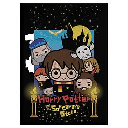 Foto van Harry potter fleecedeken junior 110 x 140 cm zwart