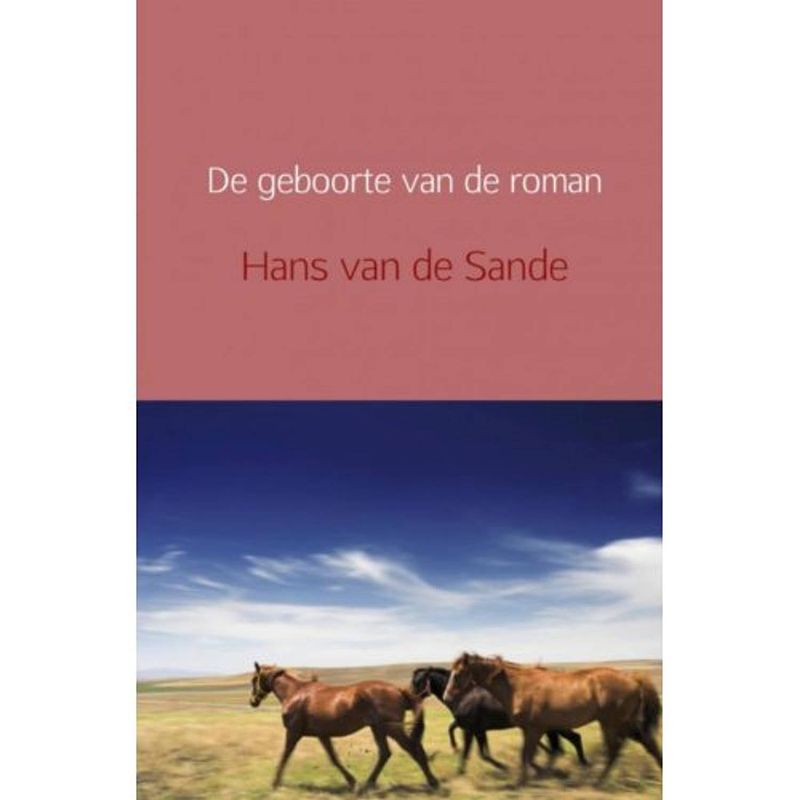 Foto van De geboorte van de roman